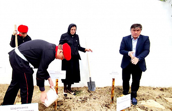 В Гунибском районе высадили «Аллею роз» в память о погибших героях СВО