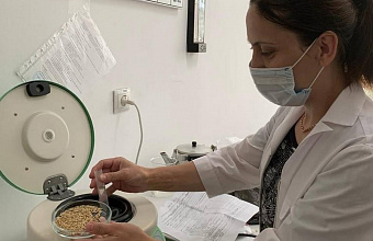 В Дагестане проверят посевной материал перед началом осеннего сева