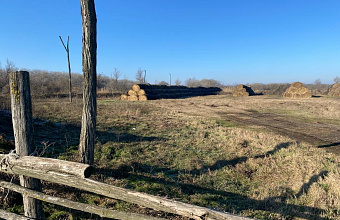 Закон о пастбищах не коснется присельских угодий Дагестана – Минсельхоз РД