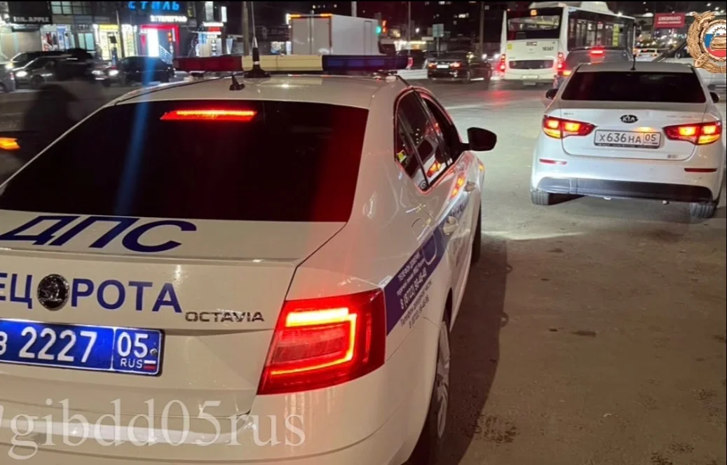 В Дагестане задержали две иномарки, числившиеся в розыске