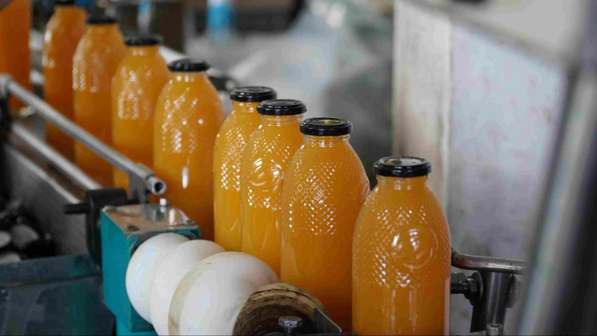 Дагестан на Кавказском инвестиционном форуме представят два агропредприятия