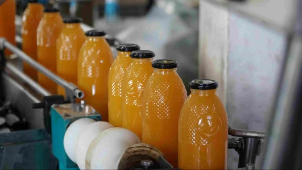 Дагестан на Кавказском инвестиционном форуме представят два агропредприятия