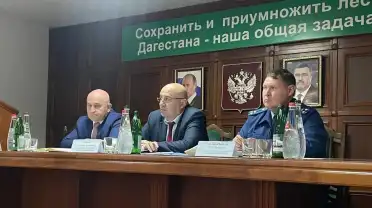 Альберт Хасауов провёл совещание с коллективом Комитета по лесному хозяйству Дагестана