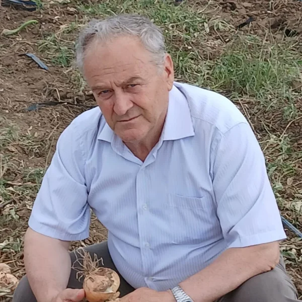 Изображение 2