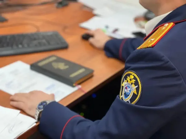 Следственный комитет начал проверку после гибели двоих детей при пожаре в Хасавюртовском районе