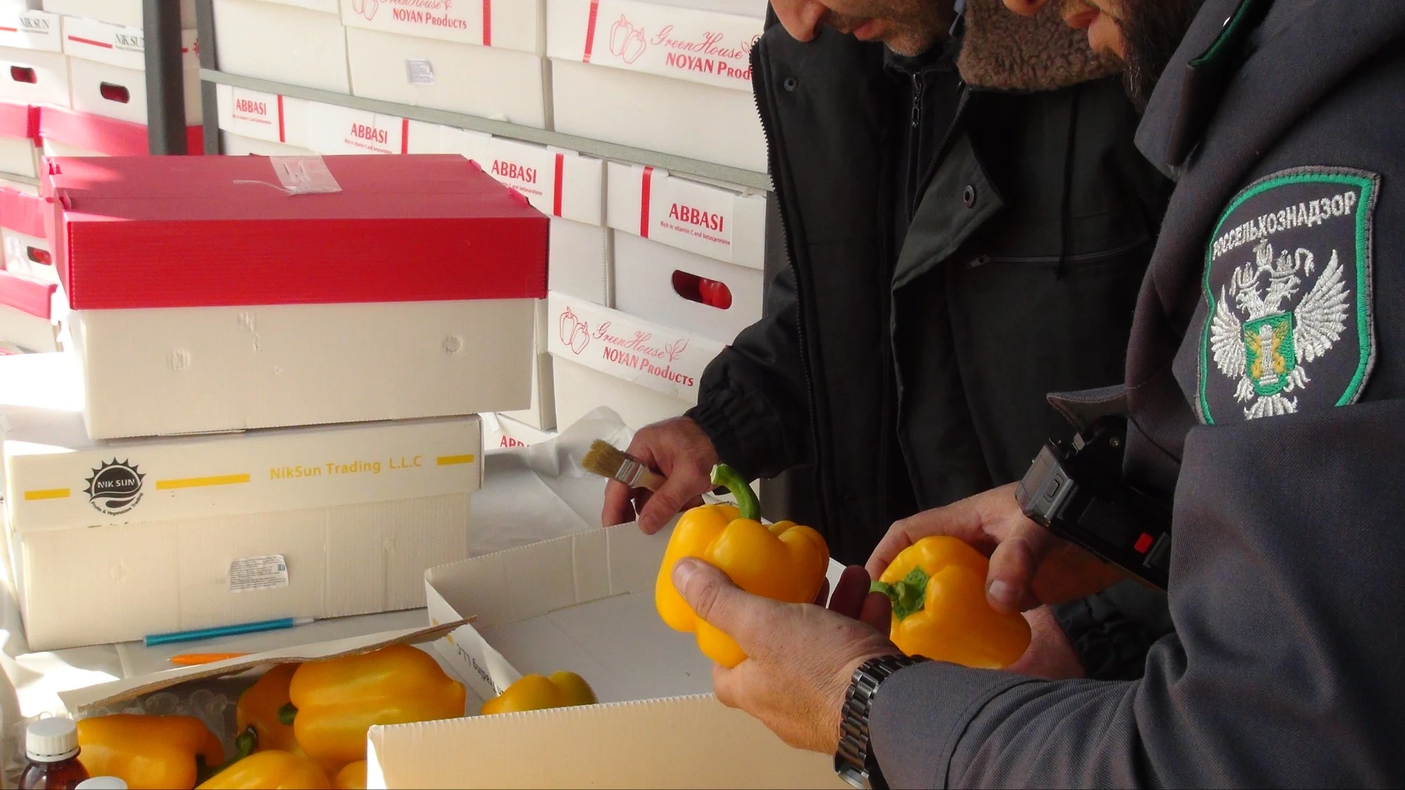 В Дагестане выявили 465 тонн зараженной иностранной сельхозпродукции