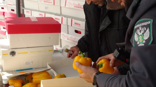 В Дагестане выявили 465 тонн зараженной иностранной сельхозпродукции
