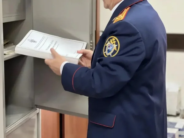 Жителя Дагестана отправят на принудительное лечение за нападение с топором на родных