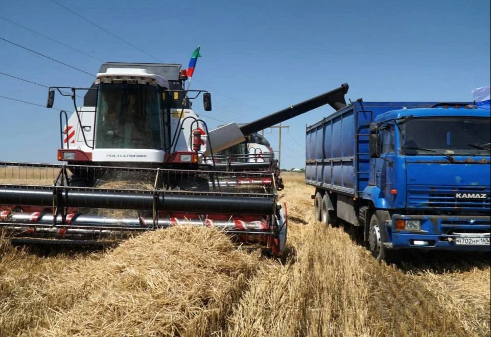 В Дагестане собрали около 55 тыс. тонн озимых зерновых культур