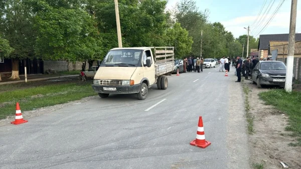 В Тарумовском районе водитель ГАЗели насмерть сбил 8-летнего ребёнка