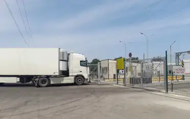 В Дагестане выявили партии заражённых персиков, слив и салата