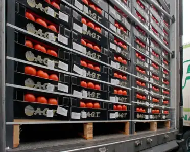 В Дагестане Россельхознадзор выявил 317 тонн зараженной импортной продукции