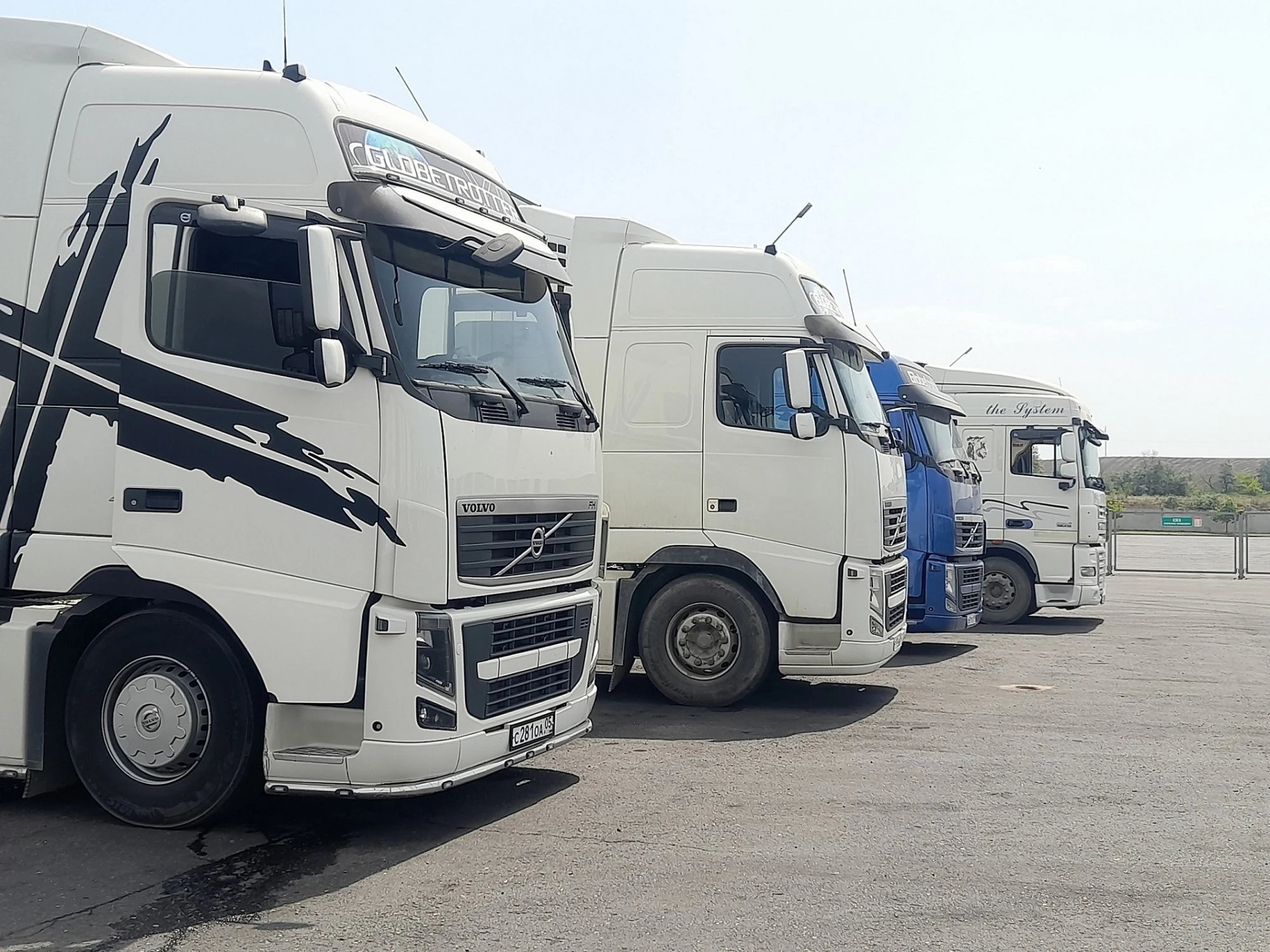 Более 2400 карантинных сертификатов оформлено в Дагестане для поставок продукции в торговые сети страны