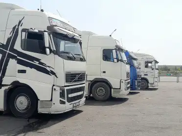 Более 2400 карантинных сертификатов оформлено в Дагестане для поставок продукции в торговые сети страны