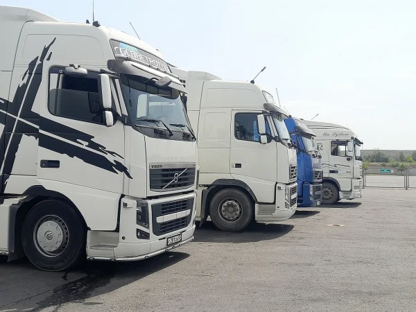 Более 2400 карантинных сертификатов оформлено в Дагестане для поставок продукции в торговые сети страны