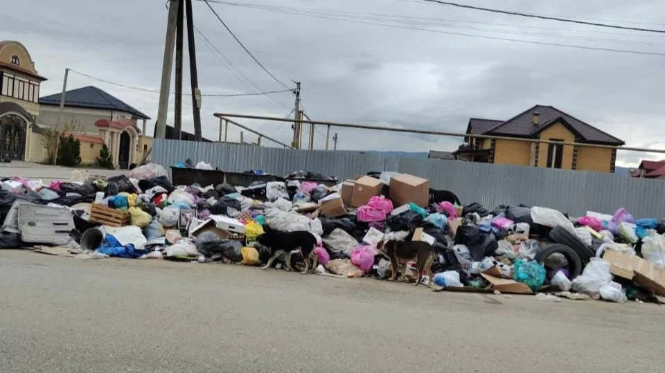 В Каспийске выявили восемь случаев несвоевременного вывоза ТКО