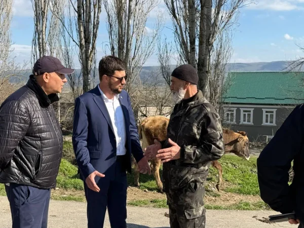 Изображение 2