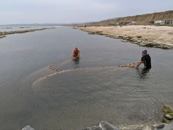 В дагестанском секторе Каспийского моря за семь лет выявлено 17 новых обитателей
