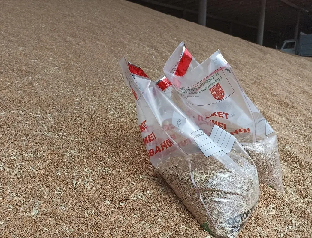 Россельхознадзор выявил в Дагестане факты реализации ячменя и пшеницы без оформления деклараций о соответствии