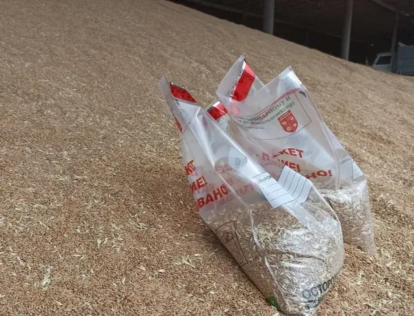 Россельхознадзор выявил в Дагестане факты реализации ячменя и пшеницы без оформления деклараций о соответствии