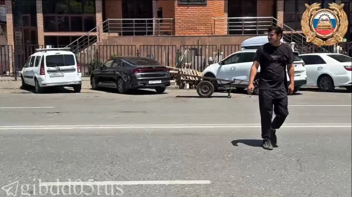 В Дагестане оштрафовали более 240 человек за нарушение правил перехода проезжей части