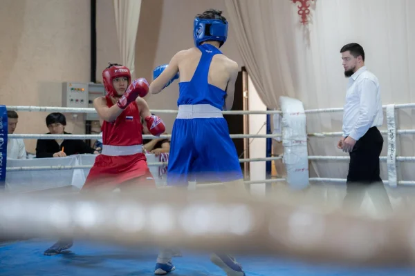 Изображение 1