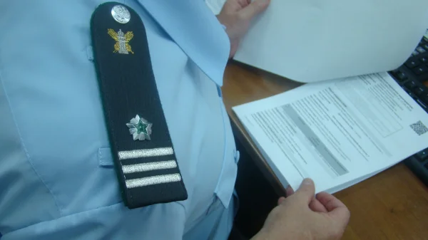 В Дагестане выявлены нарушения при ввозе кукурузы и пиломатериалов