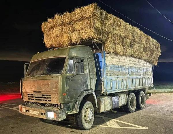 Минсельхозпрод РД оказывает поддержку животноводам Кулинского района после снегопадов