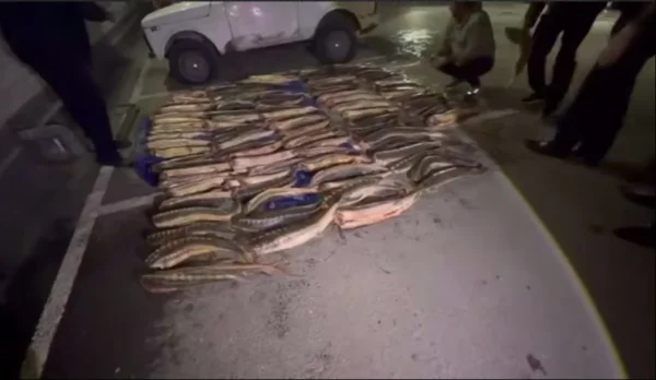 Браконьер в Дагестане с незаконным уловом пытался скрыться от сотрудников полиции