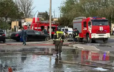 В селе Тарумовского района при пожаре в ангаре погибло две тысячи голов домашней птицы