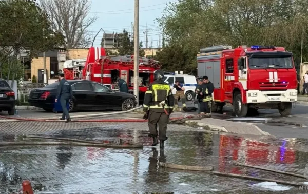 В селе Тарумовского района при пожаре в ангаре погибло две тысячи голов домашней птицы