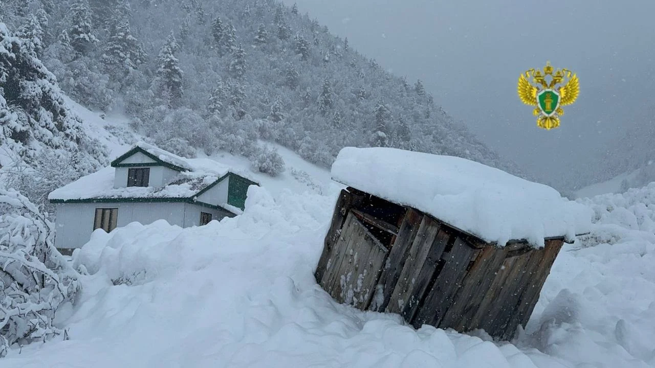 Прокуратура Дагестана контролирует выяснение обстоятельств ЧП в Цунтинском районе