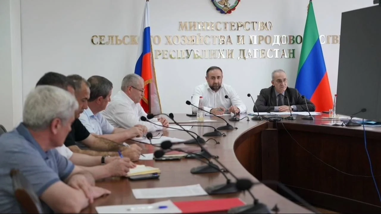 Минсельхозпрод Дагестана ускоряет реализацию нацпроектов и господдержку аграриев