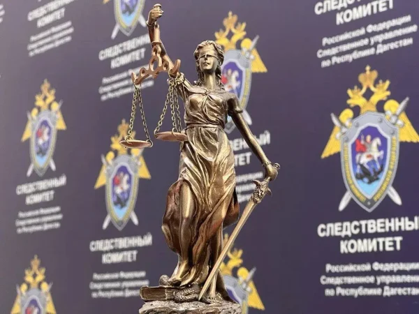 В Дагестане охотник по неосторожности застрелил человека и получил год ограничения свободы