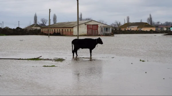Аграрии Дагестана потеряли 6 тыс. га посевов из-за паводков