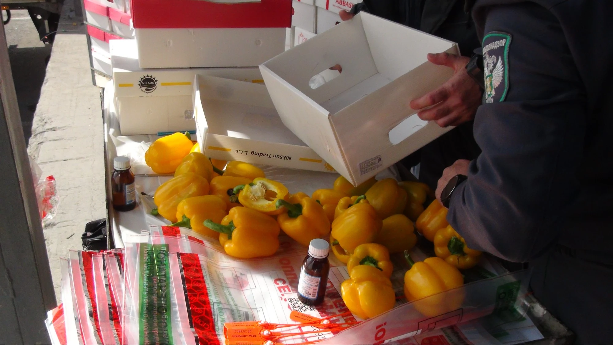 Россельхознадзор проконтролировал импорт 14 тыс. тонн растительной продукции в Дагестан