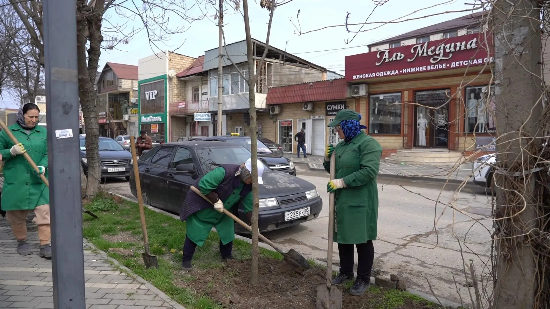 По проекту «Зеленый Дербент» на одной из улиц города высадили 59 кленов