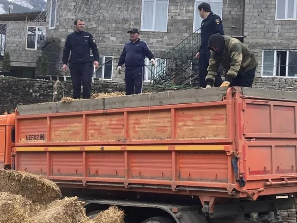 Полицейские Ногайского района доставили корма для скота жителей Тляратинского района, пострадавших от непогоды