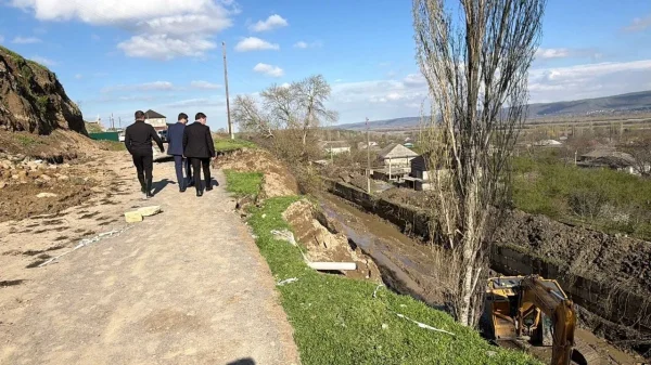 Изображение 3