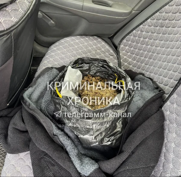 Наркодилер из Дагестана отправится в колонию на 10,5 лет