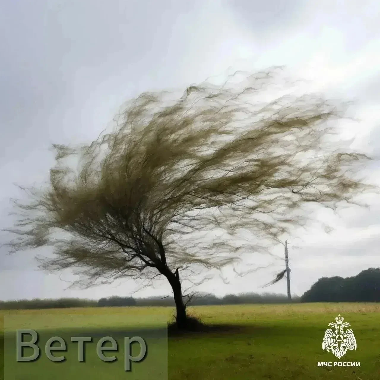 Усиление ветра до 33 м/с ожидается в горных и предгорных районах Дагестана