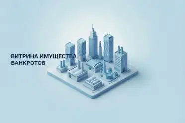 В Дагестане создан сервис с продажей активов крупных должников