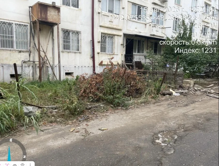 В Дербенте выявлен факт незаконной вырубки зеленых насаждений