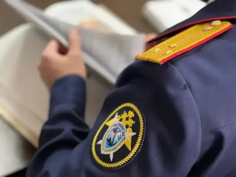В Каспийске возбуждено уголовное дело за публичное оправдание терроризма в соцсети