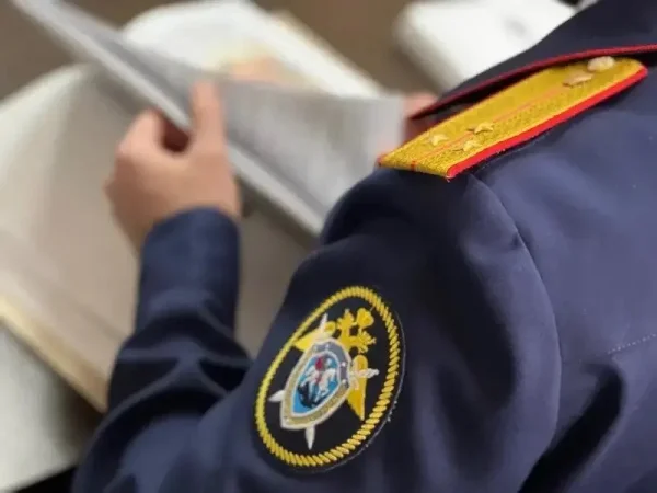 В Каспийске возбуждено уголовное дело за публичное оправдание терроризма в соцсети