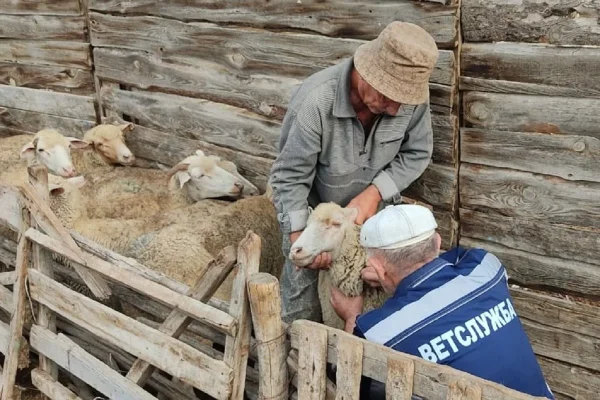 Изображение 3