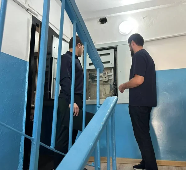 Изображение 2
