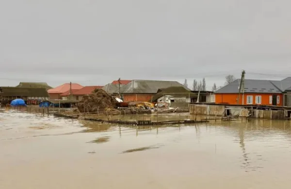 Число подтопленных домов в Дагестане за сутки сократилось в 4 раза