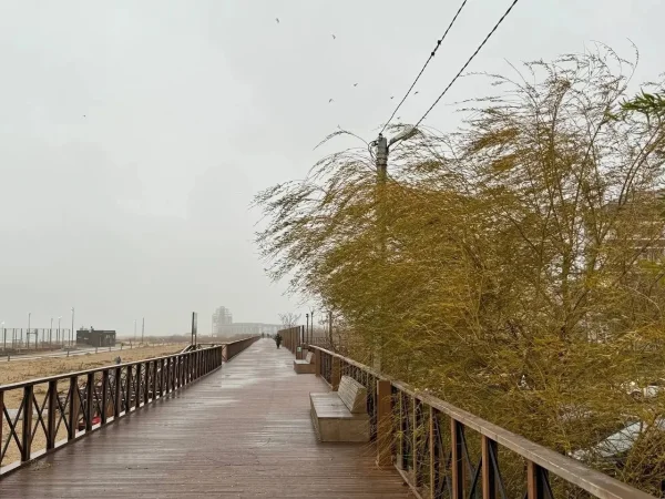 МЧС предупреждает об усилении ветра в предгорных и горных районах Дагестана