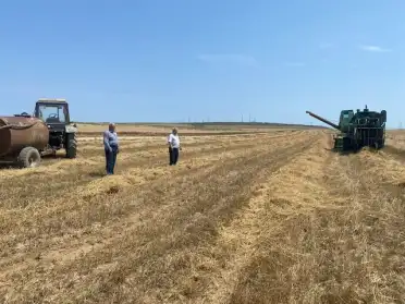 В Каякентском районе приступили к уборке озимых зерновых культур